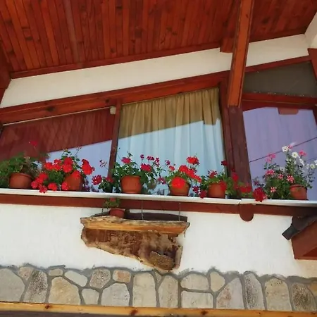 орфей Гостевой дом 3*